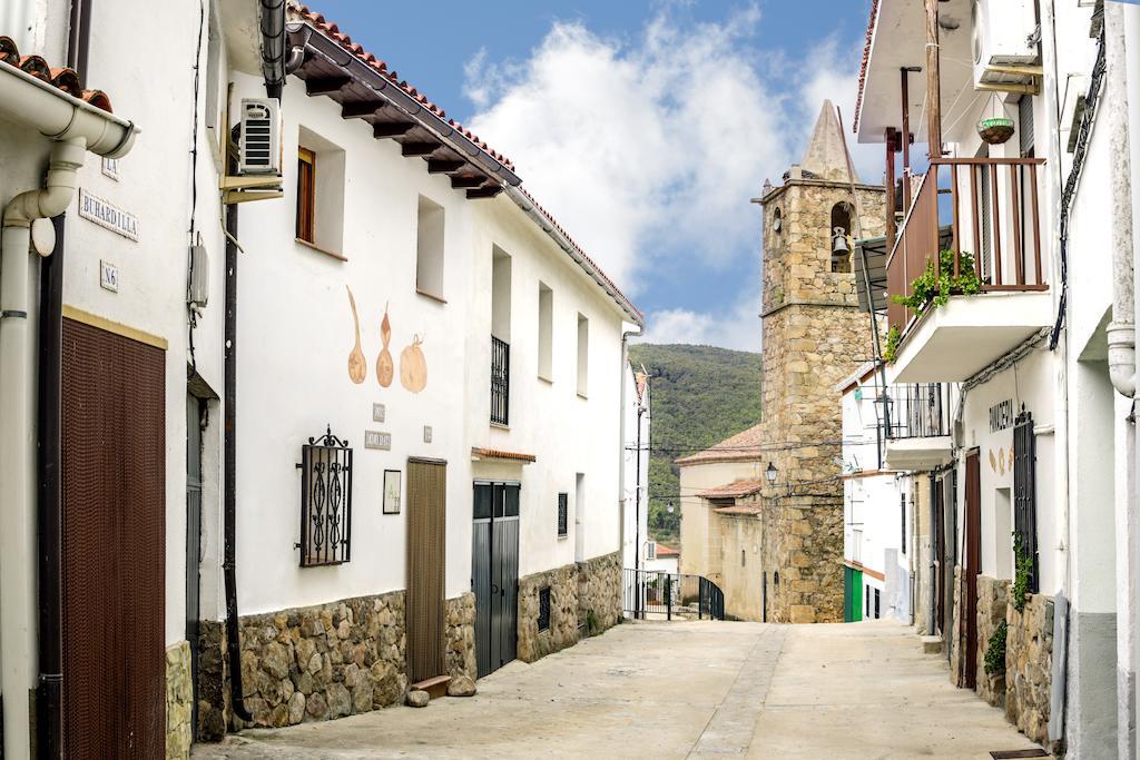 Calabazas Barrado
