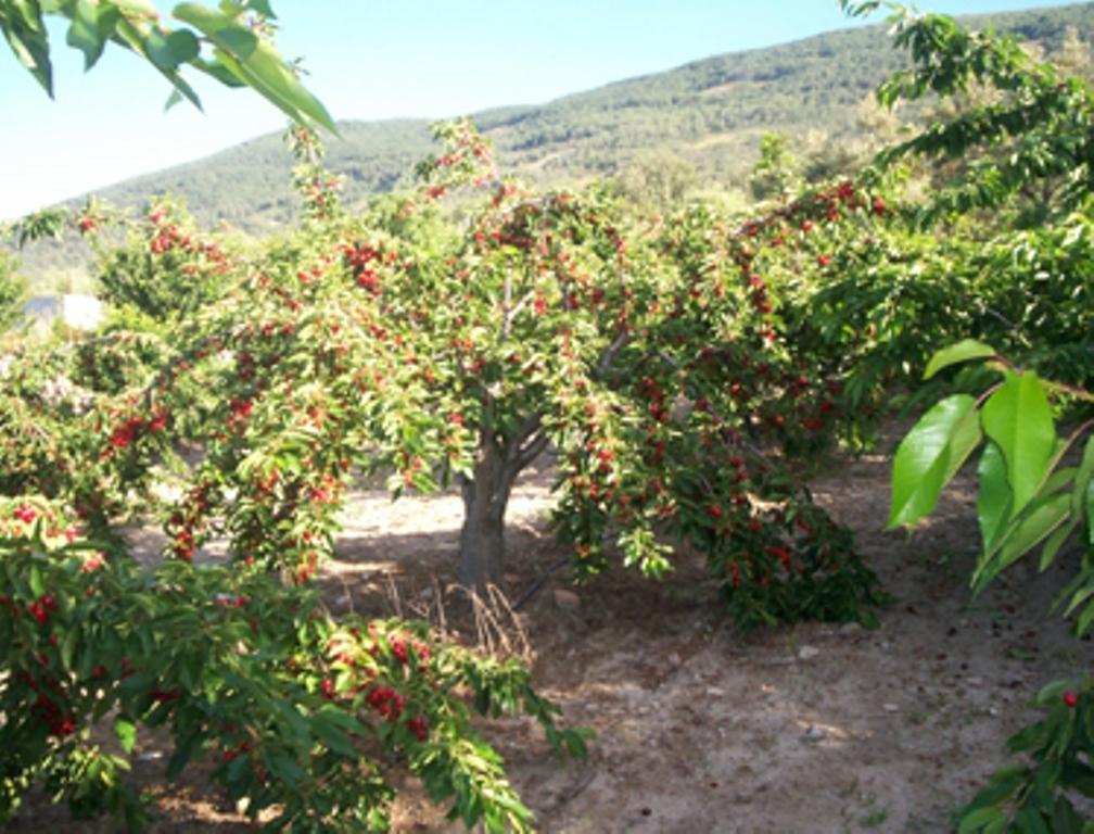 Casa di campagna Calabazas Barrado